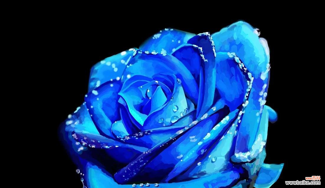 揭开仙客来花的花语奥秘 神奇的奇迹——以仙客来花的花语为主题的文章