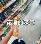 告别束缚 放手的花语——牵牛花的含义