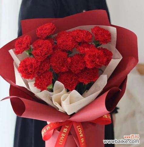 探秘红色康乃馨所代表的情感与意义 红色康乃馨花语的含义与象征