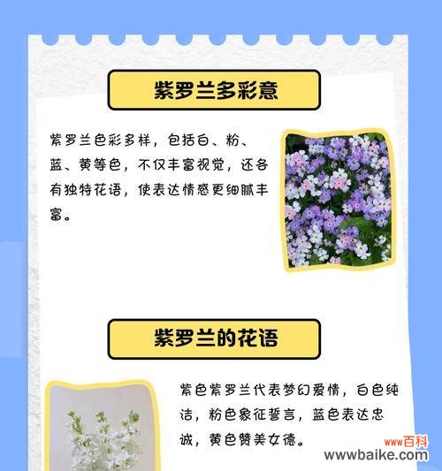 传递真挚情感的紫罗兰 紫罗兰花语的意义及适合送给的人群