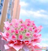 探寻康乃馨花背后的深层意义 康乃馨花的象征意义——爱与美的化身