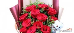 花开时 送11朵玫瑰的深意