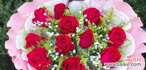 探索红玫瑰代表的爱情之情感 11朵红玫瑰的花语深意