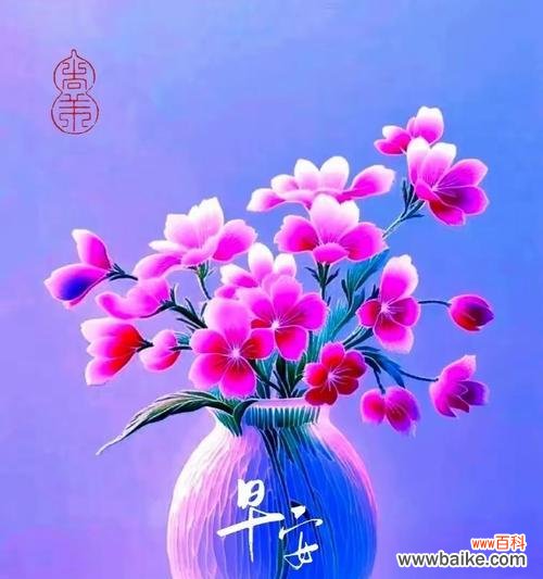 探寻幸福的秘密花语 花海中的快乐