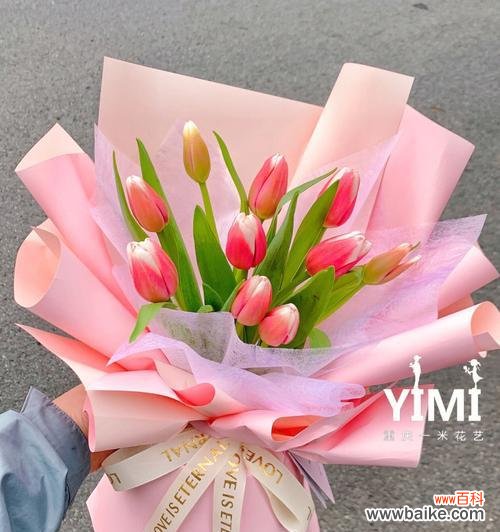 绽放在心间的温柔之花 粉色郁金香花语-表达温柔和爱情的象征