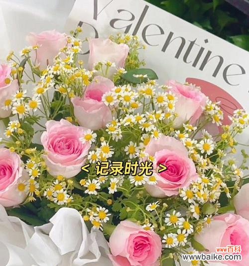 用花语传递情感与祝福 11朵花语的含义与象征