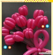 用花语传递情感与祝福 11朵花语的含义与象征