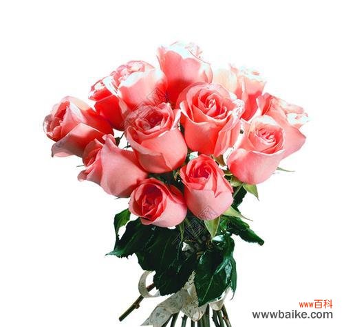 探究粉玫瑰在送礼中的特殊含义和心意 粉玫瑰的象征意义及传达情感的艺术