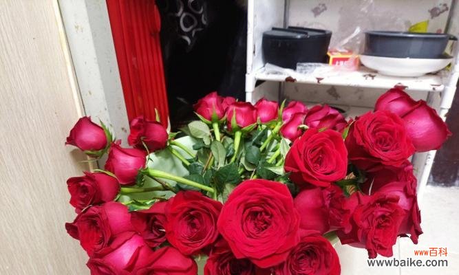 红玫瑰代表的情感和表达方式 送红玫瑰的含义及象征