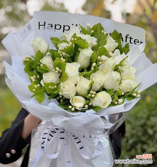 纯洁之花 白玫瑰的含义与象征