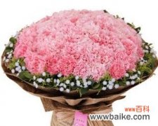 送康乃馨是怎样表达情感的 康乃馨的象征意义和送花的文化习俗