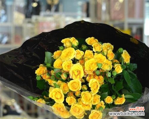 以送黄玫瑰是什么意思 黄玫瑰的象征意义与内涵