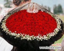 探寻九十九朵玫瑰背后的深意 九十九朵玫瑰的象征意义及内涵