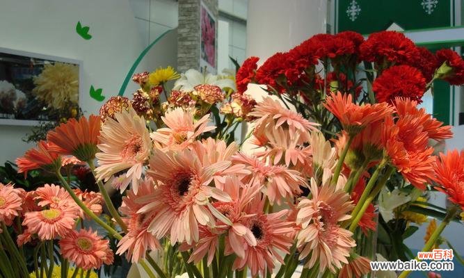 老师如同向日葵的辛勤灿烂 以向日葵代表老师的敬意