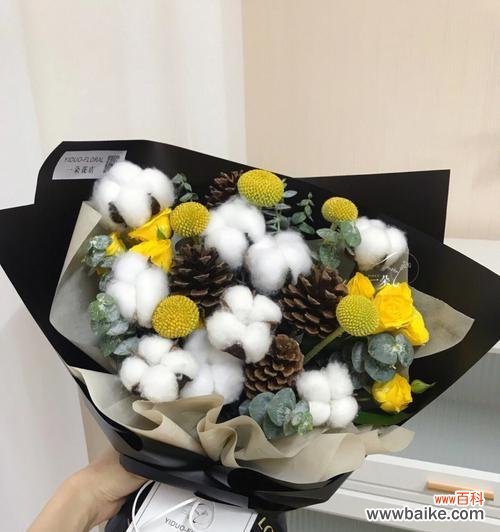 以柔克刚 棉花的花语与寓意