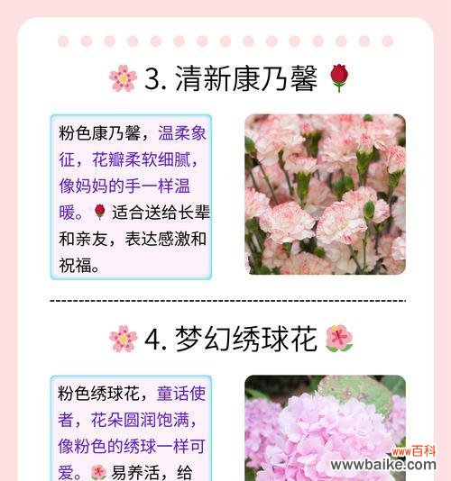 探寻樱花背后的深刻象征 樱花