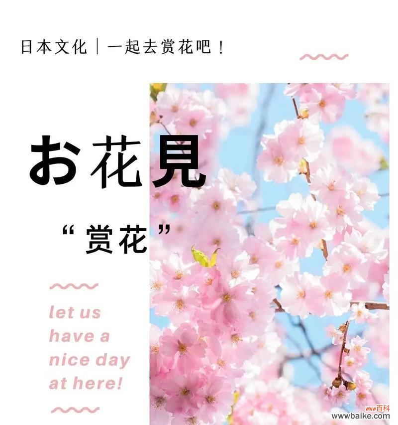 探寻樱花背后的深刻象征 樱花