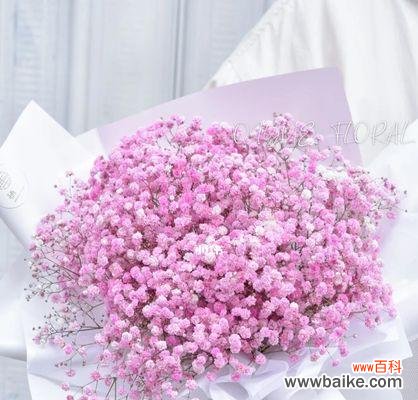 用满天星花束传递心意和祝福 满天星花束的寓意与象征意义