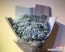 用满天星花束传递心意和祝福 满天星花束的寓意与象征意义