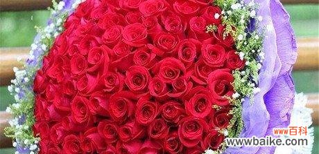 用花语传达情感的玫瑰花 玫瑰花的赠送意义