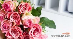 揭秘不同玫瑰花束的寓意 玫瑰花的花数代表的含义