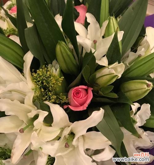 玫瑰花的花语及其在生日祝福中的应用 用玫瑰花表达生日祝福