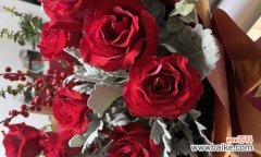 玫瑰花的花语及其在生日祝福中的应用 用玫瑰花表达生日祝福