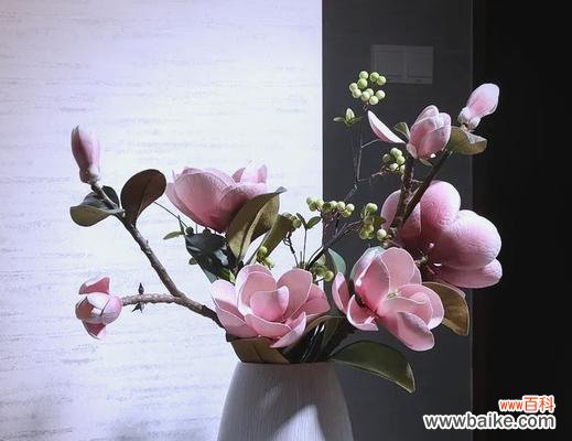 欲望与自由的较量——探索花朵背后的占有欲 占有欲的花