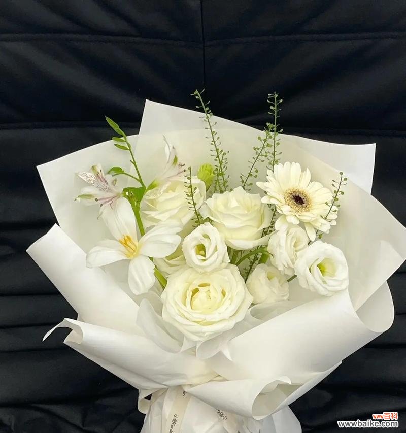 一束白色的芬芳，传递深情无言 9朵白玫瑰的花语及含义