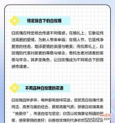 一束白色的芬芳，传递深情无言 9朵白玫瑰的花语及含义