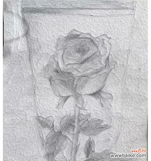 用花语诉说，心底的情感 代表意难平的花-缅怀与寄托