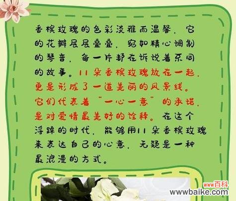 玫瑰花语揭示的情感和意义 玫瑰花语