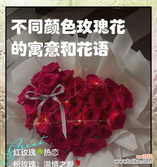 玫瑰花语揭示的情感和意义 玫瑰花语