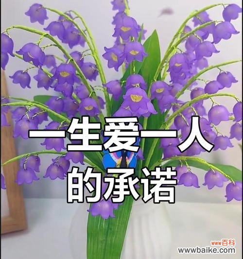 重拾真诚，向伤害道歉 以紫罗兰花语为主题的道歉之旅