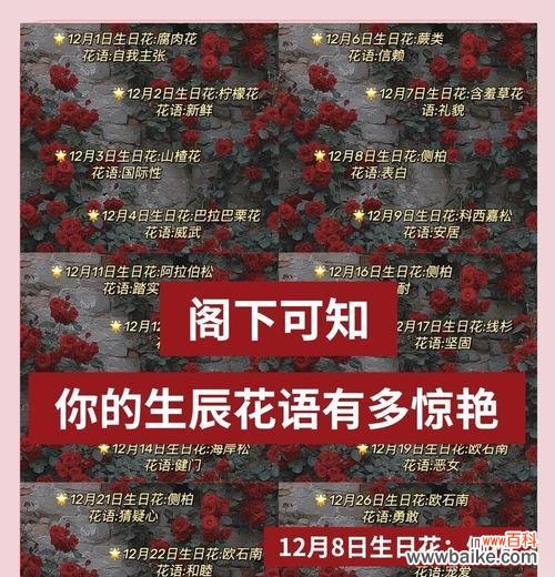 重拾真诚，向伤害道歉 以紫罗兰花语为主题的道歉之旅