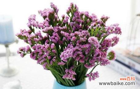 迷失在绚丽色彩中的情感世界 以勿忘我花语探秘