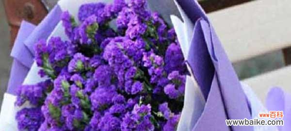 探索勿忘我背后的深刻含义 忘不了的花语