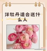 洋牡丹的花语与寓意及其象征的生活智慧 洋牡丹花语与寓意