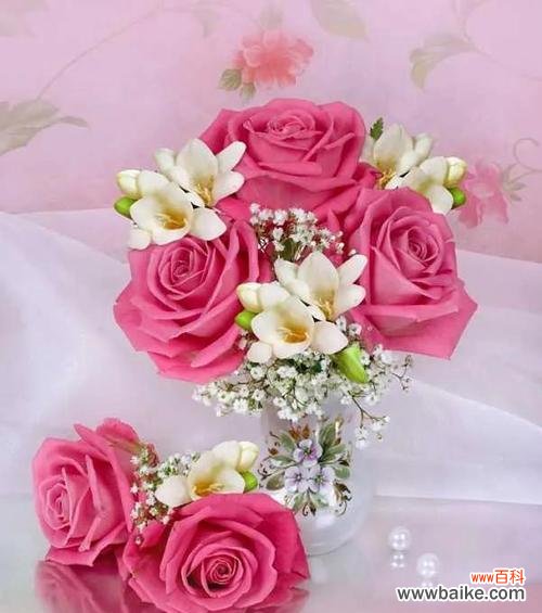 探究粉色玫瑰背后所蕴含的爱与温柔 粉色玫瑰的情感象征与传递之道