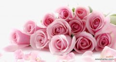 探究粉色玫瑰背后所蕴含的爱与温柔 粉色玫瑰的情感象征与传递之道