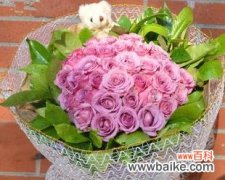 探索紫玫瑰传递的深刻情感和神秘符号 送紫玫瑰的寓意与意义