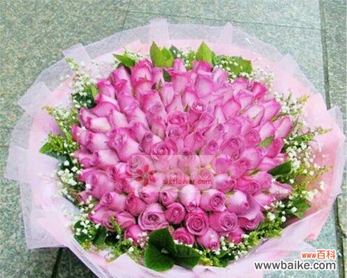 探索紫玫瑰传递的深刻情感和神秘符号 送紫玫瑰的寓意与意义