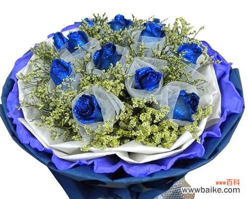 探寻蓝玫瑰所代表的情感和情境 蓝玫瑰的象征意义