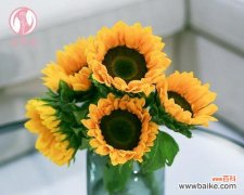 以花朵之语 送向日葵