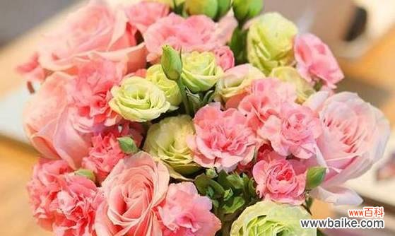 以百合花代表永恒的爱 花开不败，永恒的爱