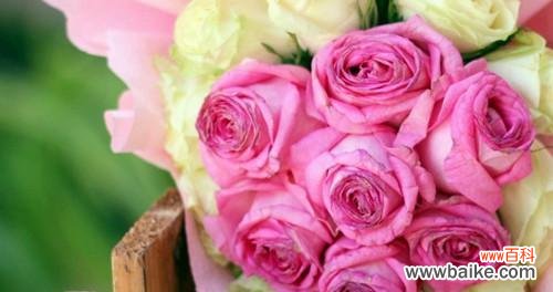 以罂粟花象征原谅的力量 花开宽恕，心谊绽放