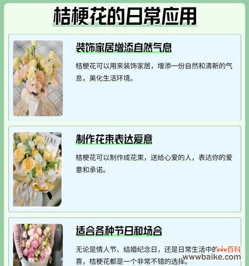 揭开桔梗花语的奥秘 桔梗花语的深意