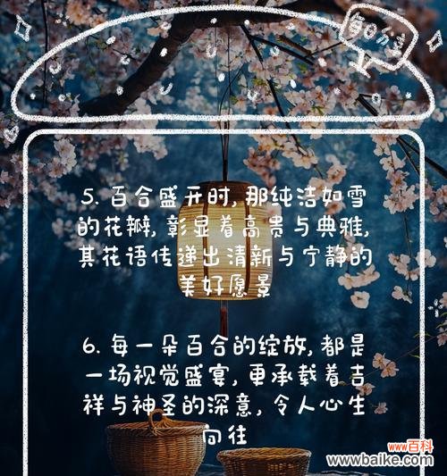 探寻优雅的百合花语 以百合花的花语为主题的文章