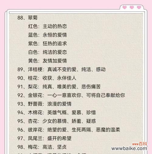 探索玫瑰花语中的坚持主题，领悟生活中的努力与坚持 以玫瑰花为主题的花语——坚持不懈的力量