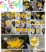 解读黄玫瑰所代表的花语，探索其象征的情感与意义 黄玫瑰的花语